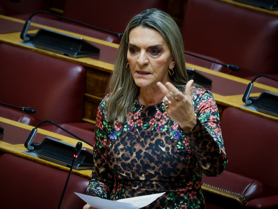Η Πέτη Πέρκα πρόεδρος της κοινοβουλευτικ...