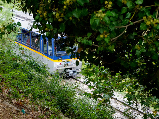 Τηλεφωνική επικοινωνία Κυρανάκη- Φαρμάκη...