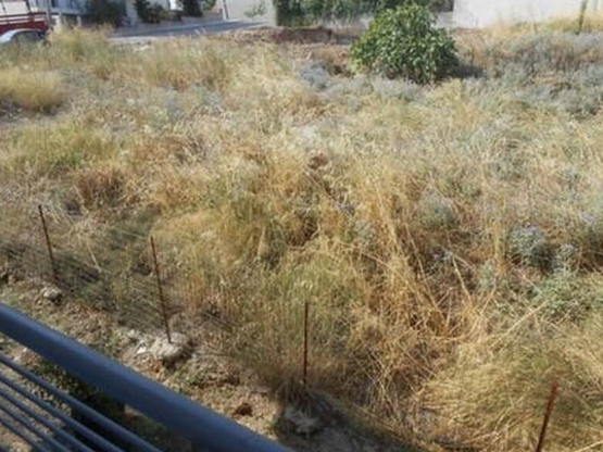 Kαθαρισμός οικοπέδων στην Πάτρα- Τι ισχύ...