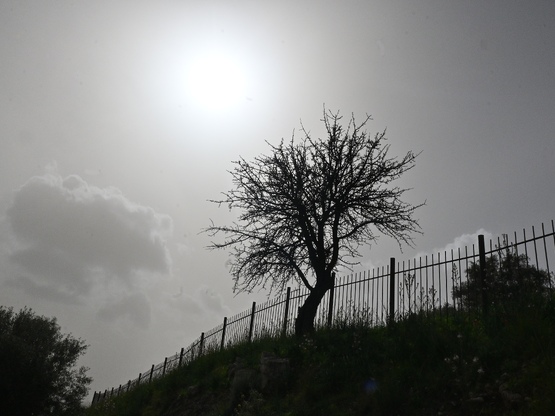 Καιρός: Κακοκαιρία από την Πέμπτη 19/3 μ...