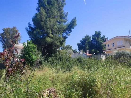 Καθαρισμοί οικοπέδων: Πότε ανοίγει η πλα...