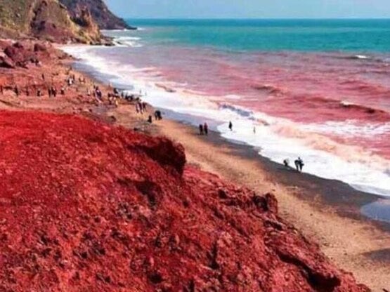 Η θάλασσα έγινε... κόκκινη σε νησί του Ι...