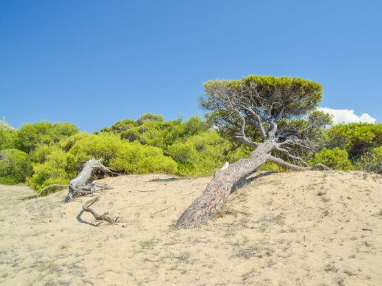 Μηνυτήρια αναφορά στην Εισαγγελία Πατρών...