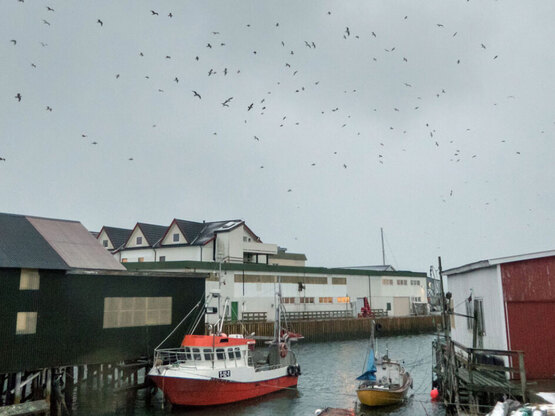 Το νησί χωρίς χρόνο: Οι κάτοικοι ζουν χω...