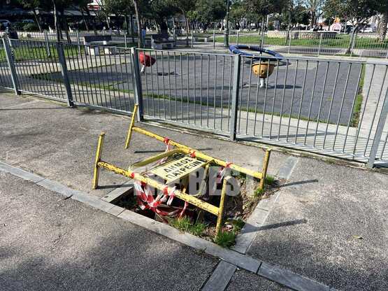 Πάτρα: Ξεριζώθηκε το δέντρο κι έμεινε μι...