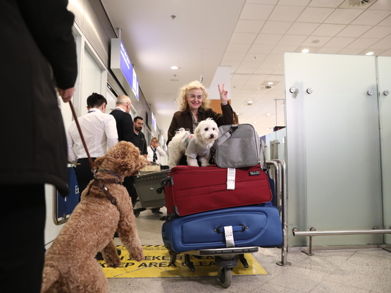 ΥΠΕΞ: Επέστρεψαν πάνω από 2.000 ‘Ελληνες...