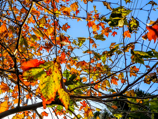 Meteo: Ο χειμώνας 2025-2026 είναι ο δεύτ...