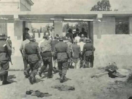 Στο Βέλγιο τις επόμενες ημέρες εμπειρογν...