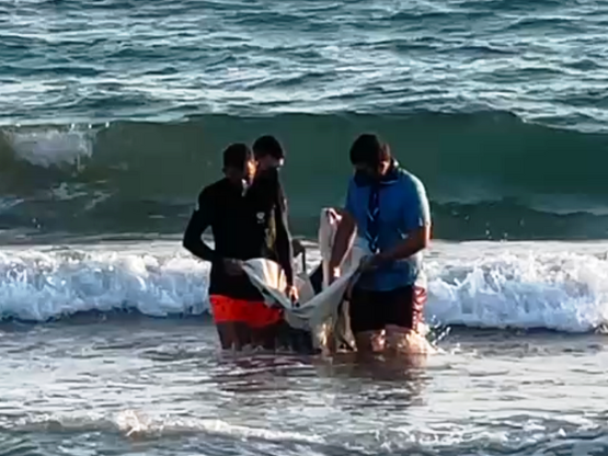 Μυτιλήνη: Η μάχη των 4 ημερών για τον μι...