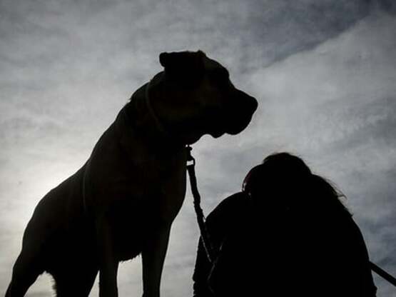 Συντετριμμένος ο πατέρας του 2χρονου στη...