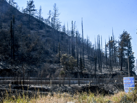 Ποιες είναι οι περιβαλλοντικές επιπτώσει...