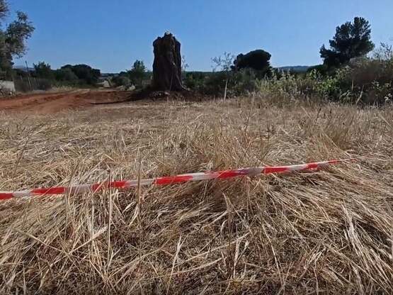 Ραφήνα: «Τρέξε, πεθαίνω.Με πυροβόλησε ο ...