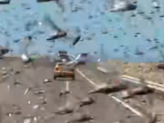 Οδηγοί στη Σαχάρα «παγιδεύτηκαν» μέσα σε...