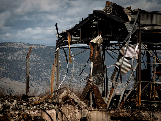 «Βιολάντα»: Στον ανακριτή τα δύο στελέχη...
