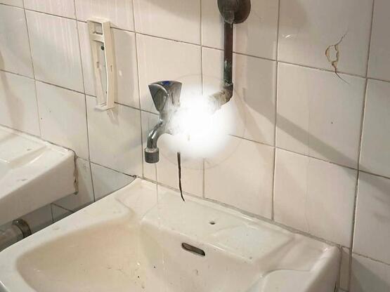 Λευκάδα: Αποκρουστικές εικόνες στο Γυμνά...