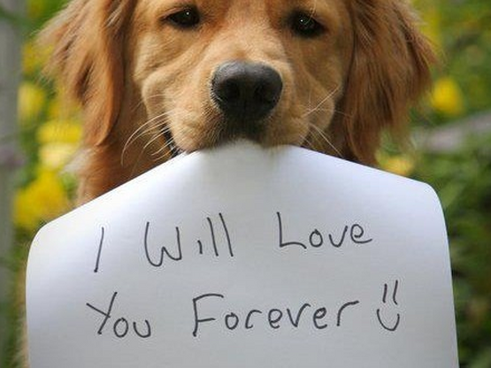 Ηλεία: Στην Ανδραβίδα το πρώτο “ευρωπαικ...