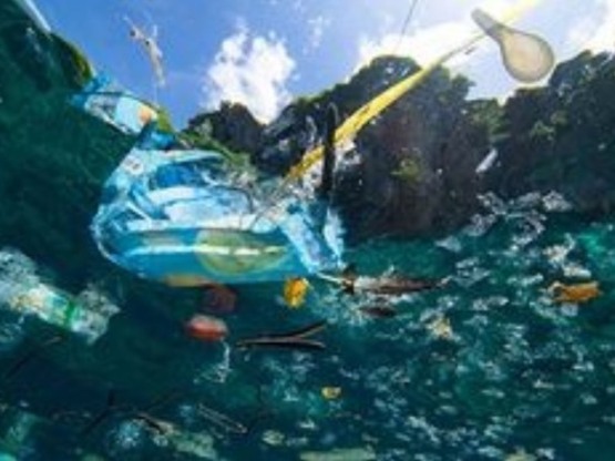 Το 50% των απορριμμάτων των ελληνικών θαλασσών είναι κουτιά, μπουκάλια και σακούλες