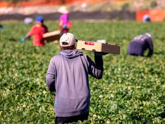 Κενές περισσότερες από 70.000 θέσεις εργ...