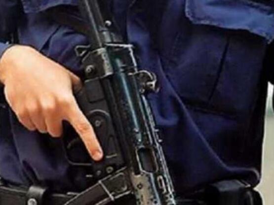 Έρχεται προκήρυξη για ειδικούς φρουρούς το 2014