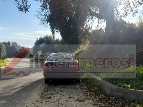 Πύργος - Σκαφιδιά: Τραγικό τέλος για 80χ...