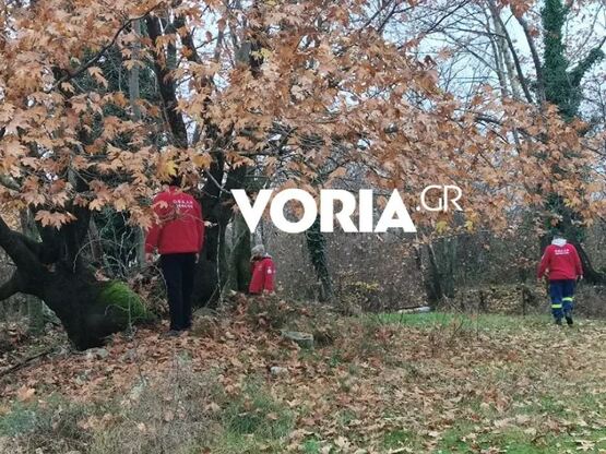 Σέρρες: Σαρώνουν πεδιάδα και βουνό για τ...