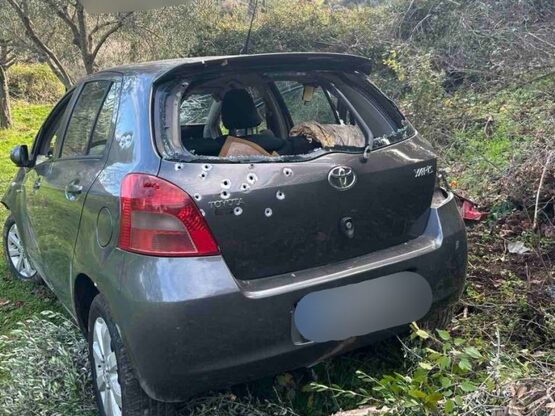 Αγρίνιο: Προφυλακίστηκε ο 44χρονος δράστ...