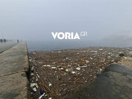Θερμαϊκός κόλπος: Πλαστικά και φελιζόλ α...