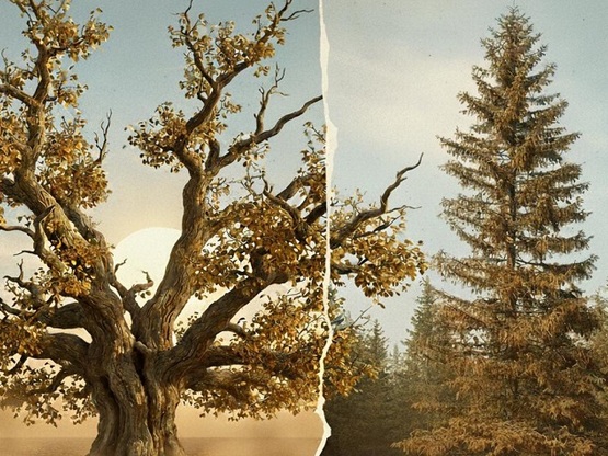 Την Τρίτη 18/11 η Ημερίδα «Ξηράνσεις στη...