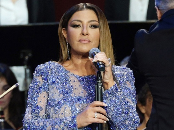 Έλενα Παπαρίζου: Η ανάρτηση και η διάψευ...