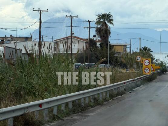 Δέντρα έχουν φυτρώσει μέσα στον χείμαρρο...