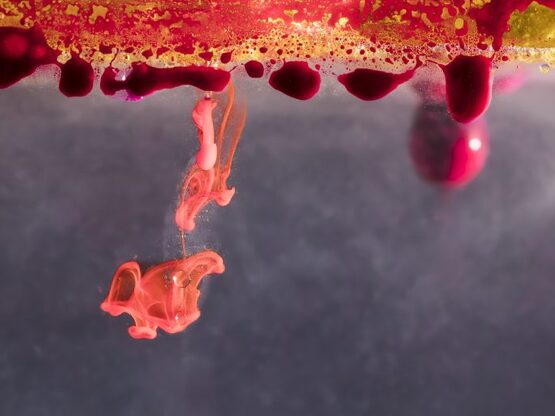 Το ιατρικό θαύμα του «χρυσού αίματος»: Η...