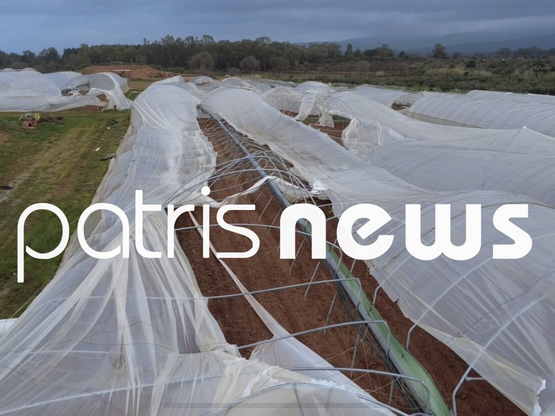 Ηλεία: 20 στρέμματα θερμοκηπίων ισοπεδώθ...