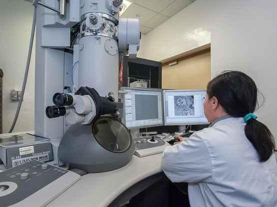 Πόσο ζούμε χωρίς νερό και τροφή; Δείτε π...