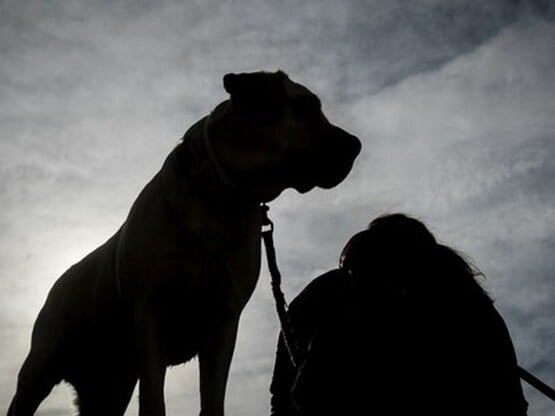 Τραγικό περιστατικό στον Άγιο Λέοντα: Μι...