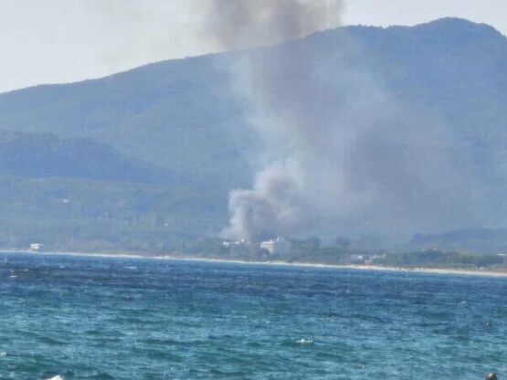 Αναζωπύρωση στη Βρυσούλα Πρέβεζας – Ήχησ...