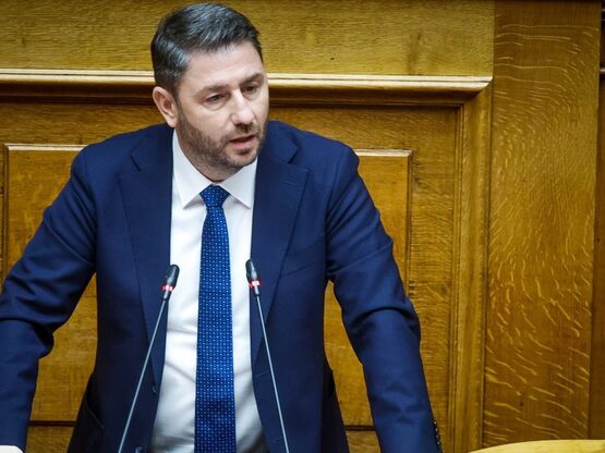 Σαφές μήνυμα Ανδρουλάκη υπέρ του Κυπριακ...