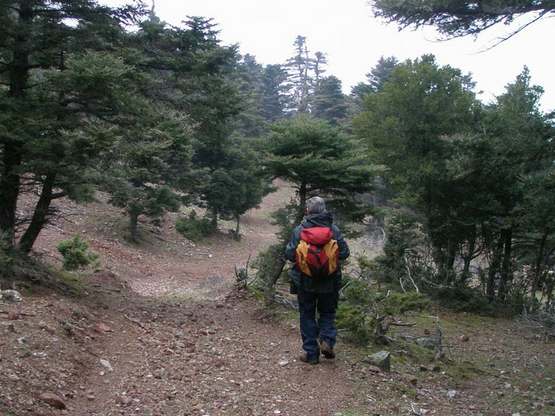 Νέα μονοπάτια στο Παναχαϊκό- 13 διαδρομέ...