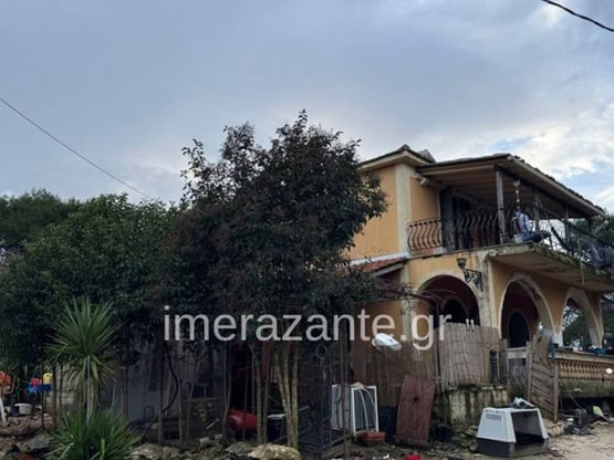 Ζάκυνθος: «Mάζεψα το πίτμπουλ γιατί ήταν...