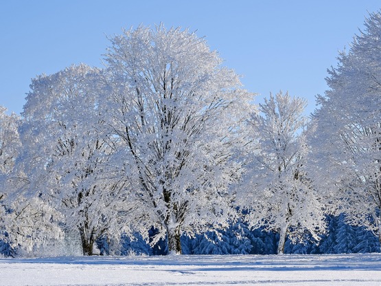 Tο πιο κρύο χωριό της Ελλάδας, όπου έχει...