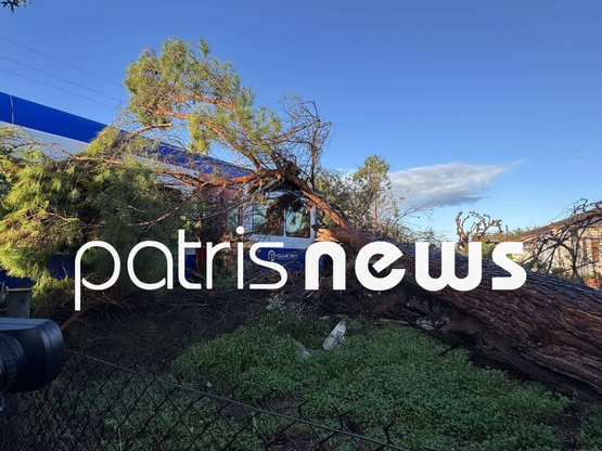 Ηλεία: Πεύκο έπεσε πάνω σε τρένο που εκτ...