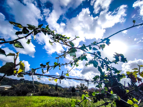 Καιρός του «ωμέγα εμποδιστή» μέχρι την Π...