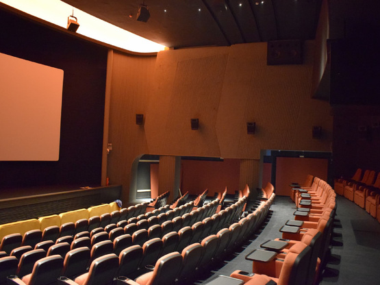 Ο Θοδωρής Κουτσογιαννόπουλος προλογίζει ...