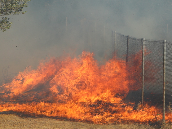 Πάνω από 15.000 στρέμματα έκαψε η φωτιά ...