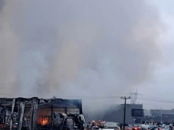 «Βιολάντα»: 3 νεκρές γυναίκες από τη μεγ...