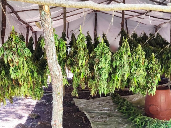 Αιτωλοακαρνανία: Εντοπίστηκε οργανωμένη ...