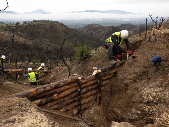 Φωτιές στην Αχαΐα: Μετά τις στάχτες- «Πι...