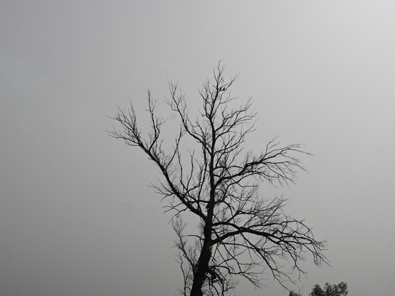 Κακοκαιρία εξπρές την Τρίτη με ισχυρές κ...