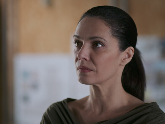 Μία νύχτα μόνο: Η Αρετή συναντά τυχαία τ...