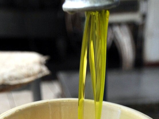 Δυτική Αχαΐα: Διέρρηξαν αποθήκη και έκλε...