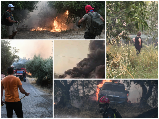 Πάτρα: Δίπλα σε σπίτια η φωτιά σε Βούντε...